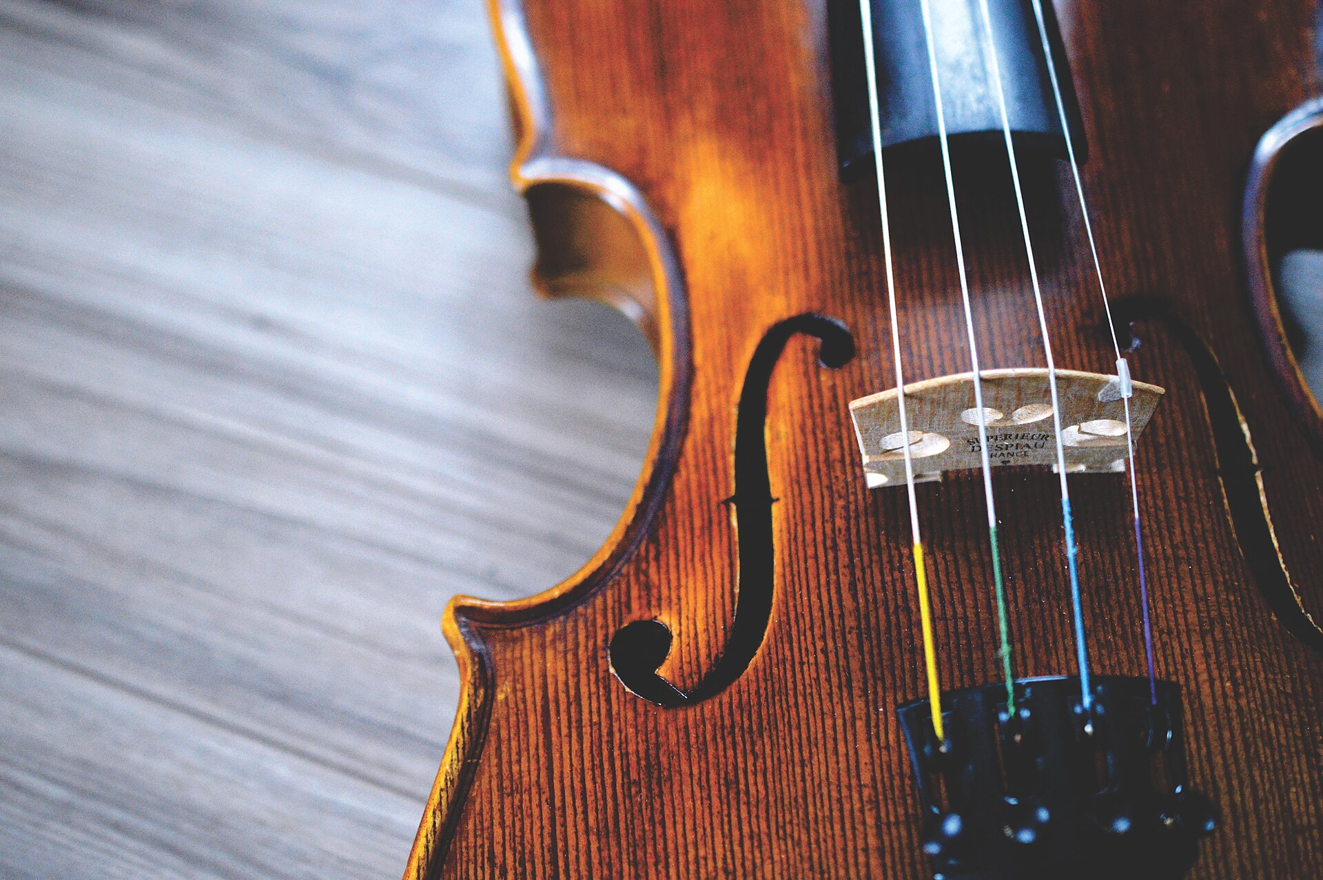 ヴァイオリンの4本の弦。いちばん太く、いちばん低い音を出すのがG線