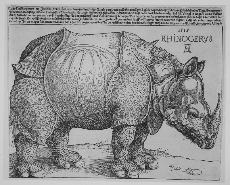 デューラーの『犀』はなぜ鎧を着ているのか？見たことのない動物を描いた1515年の木版画