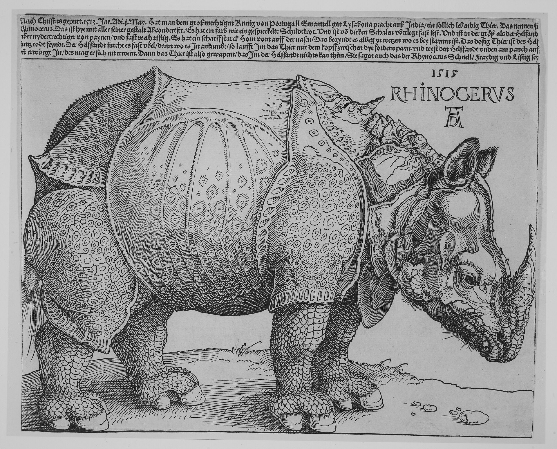 アルブレヒト・デューラー『犀』1515年、木版画（メトロポリタン美術館所蔵の刷り）