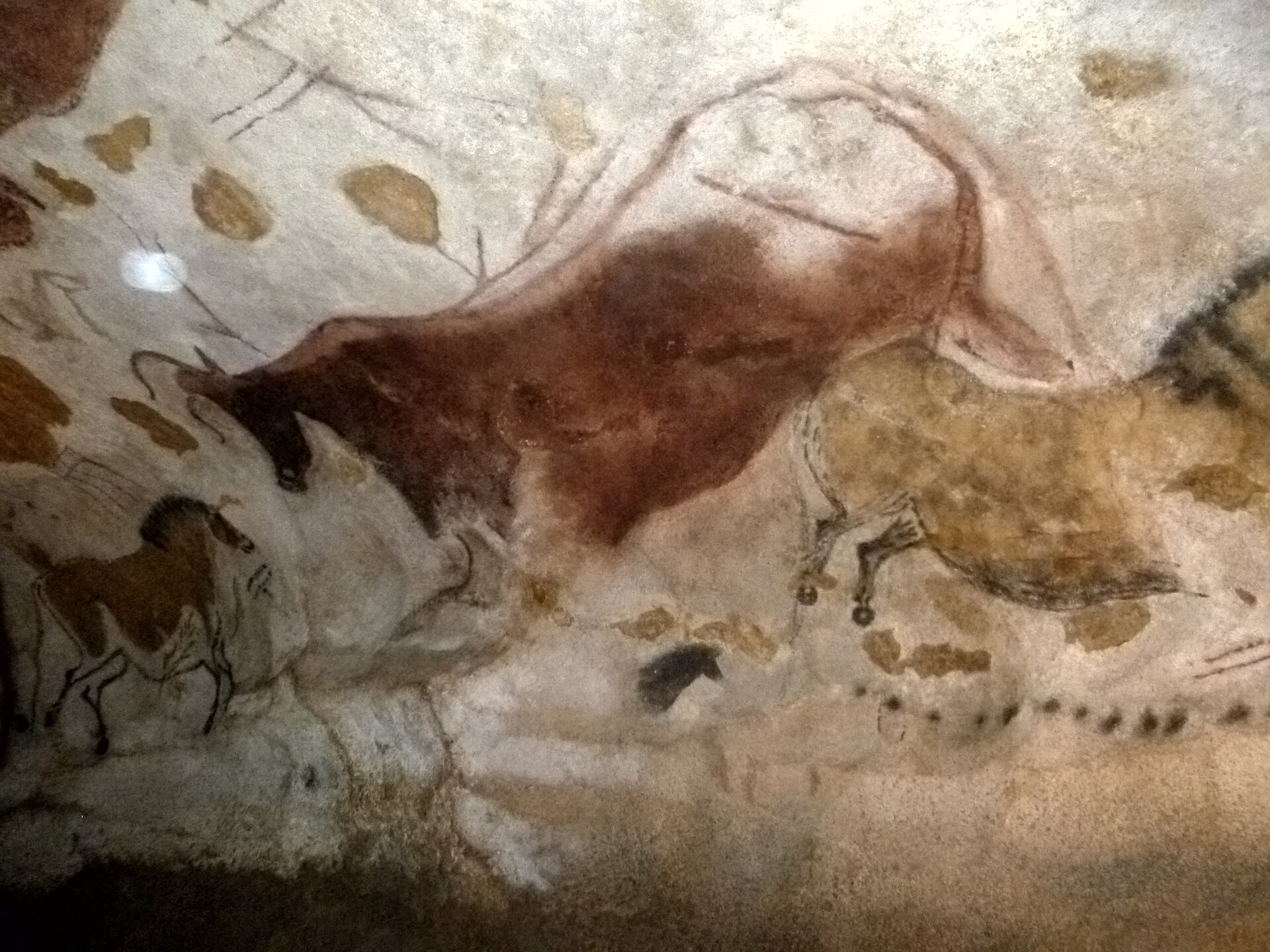 ラスコーの壁画を再現した複製展示。赤い牛と馬、点の列(Photo: JoJan / CC BY 4.0)